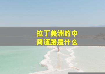 拉丁美洲的中间道路是什么