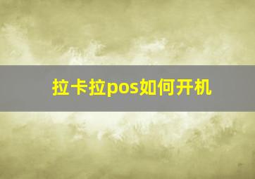 拉卡拉pos如何开机