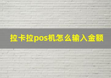 拉卡拉pos机怎么输入金额