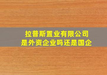 拉普斯置业有限公司是外资企业吗还是国企