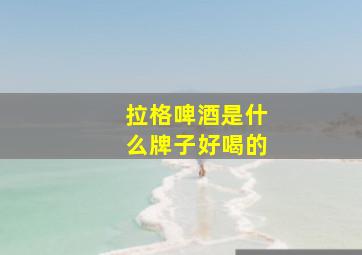 拉格啤酒是什么牌子好喝的