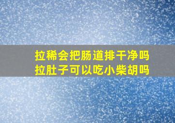 拉稀会把肠道排干净吗拉肚子可以吃小柴胡吗