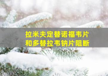 拉米夫定替诺福韦片和多替拉韦钠片阻断