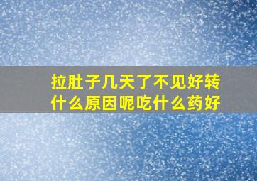 拉肚子几天了不见好转什么原因呢吃什么药好