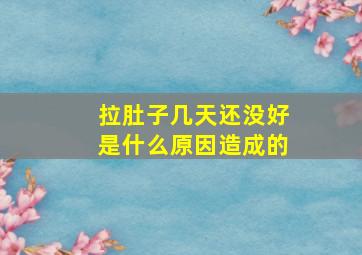 拉肚子几天还没好是什么原因造成的