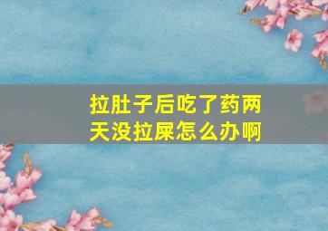 拉肚子后吃了药两天没拉屎怎么办啊