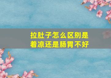 拉肚子怎么区别是着凉还是肠胃不好