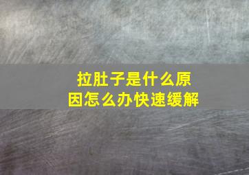 拉肚子是什么原因怎么办快速缓解