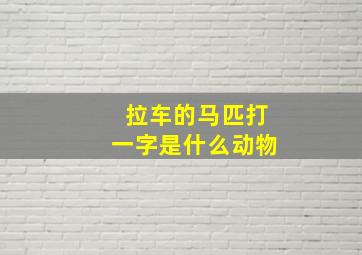 拉车的马匹打一字是什么动物