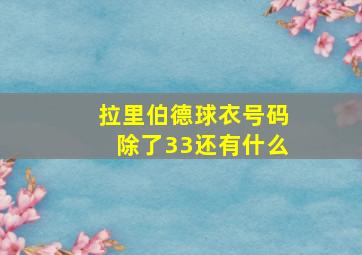 拉里伯德球衣号码除了33还有什么