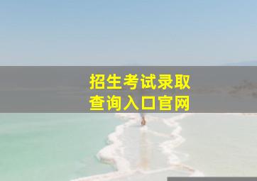 招生考试录取查询入口官网