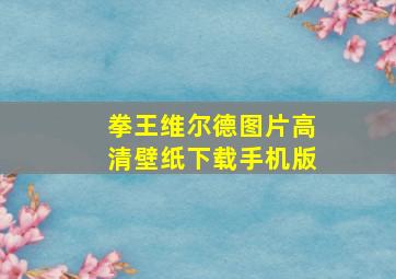 拳王维尔德图片高清壁纸下载手机版