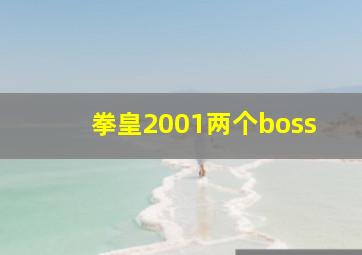 拳皇2001两个boss