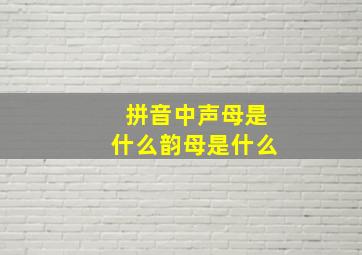 拼音中声母是什么韵母是什么