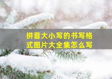 拼音大小写的书写格式图片大全集怎么写