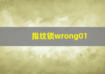 指纹锁wrong01