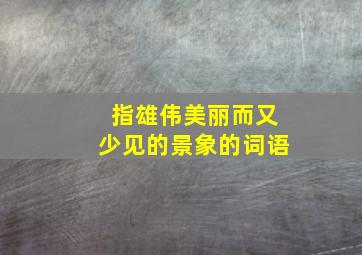 指雄伟美丽而又少见的景象的词语