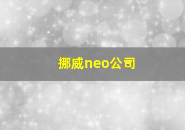 挪威neo公司