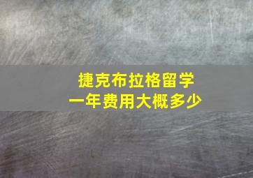 捷克布拉格留学一年费用大概多少