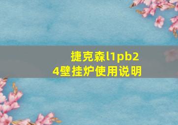 捷克森l1pb24壁挂炉使用说明