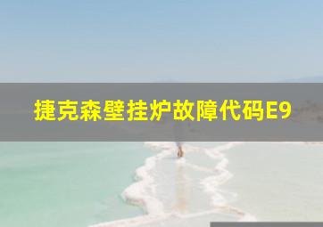 捷克森壁挂炉故障代码E9