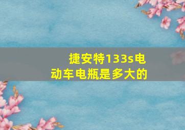 捷安特133s电动车电瓶是多大的