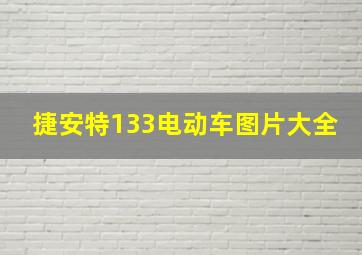 捷安特133电动车图片大全