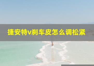 捷安特v刹车皮怎么调松紧