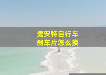 捷安特自行车刹车片怎么换