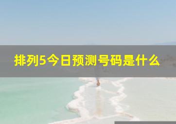 排列5今日预测号码是什么