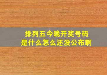 排列五今晚开奖号码是什么怎么还没公布啊