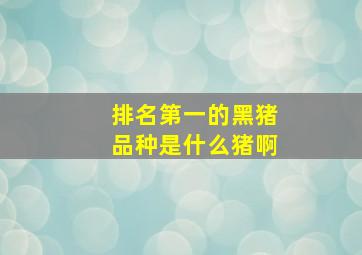 排名第一的黑猪品种是什么猪啊