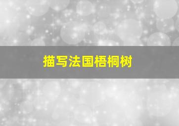 描写法国梧桐树