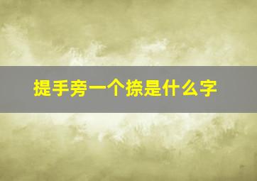 提手旁一个捺是什么字