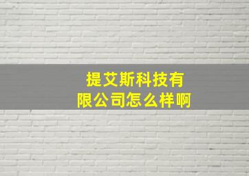 提艾斯科技有限公司怎么样啊