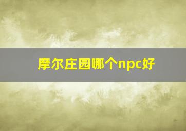 摩尔庄园哪个npc好