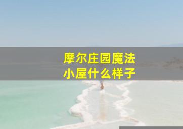 摩尔庄园魔法小屋什么样子