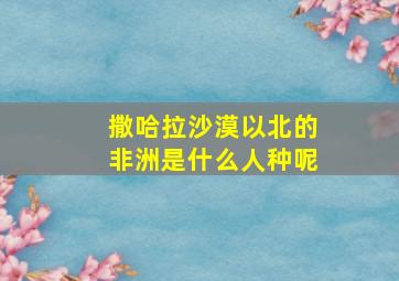 撒哈拉沙漠以北的非洲是什么人种呢