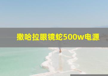 撒哈拉眼镜蛇500w电源