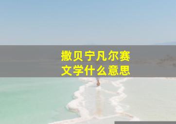 撒贝宁凡尔赛文学什么意思