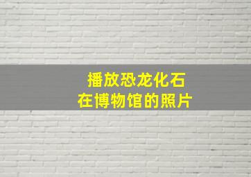 播放恐龙化石在博物馆的照片