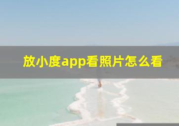 放小度app看照片怎么看