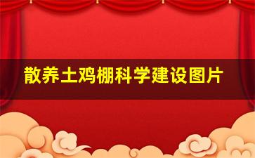 散养土鸡棚科学建设图片