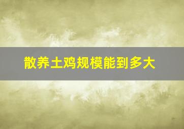 散养土鸡规模能到多大