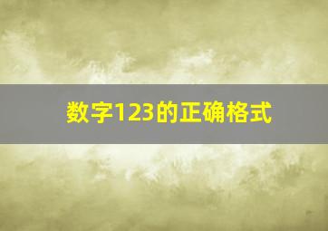 数字123的正确格式