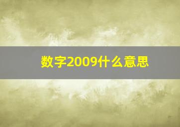 数字2009什么意思