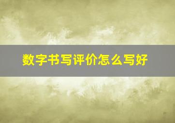 数字书写评价怎么写好