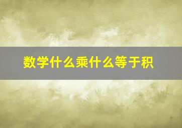 数学什么乘什么等于积