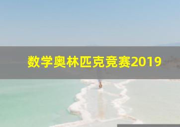 数学奥林匹克竞赛2019