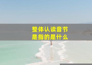 整体认读音节是指的是什么